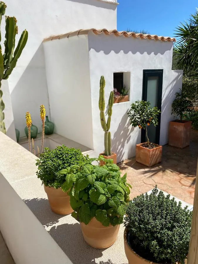 Apartment Can Yuca II Cala Mondrago